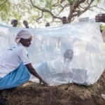 WHO recommends two new insecticide-treated nets 2023